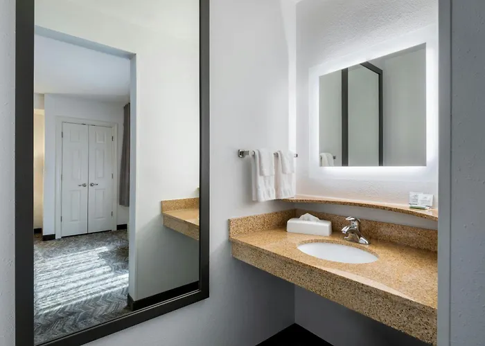 Hotel Springhill By Marriott Charleston North