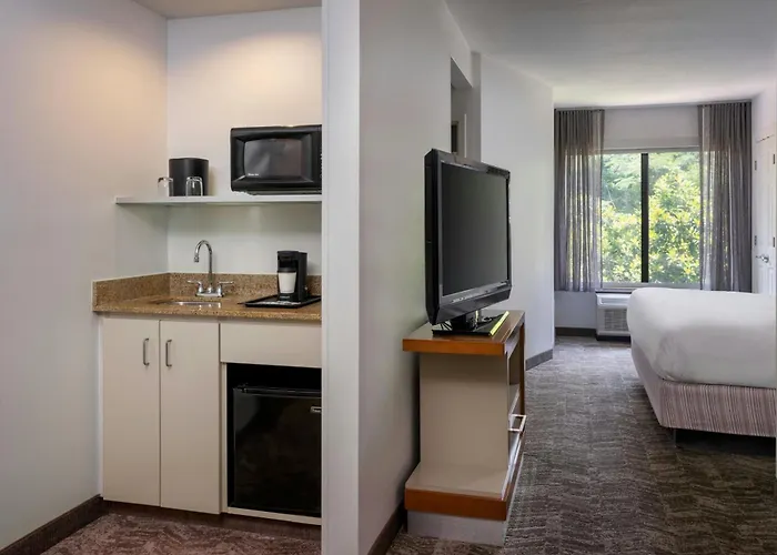 Springhill By Marriott Charleston North Hotel 3*